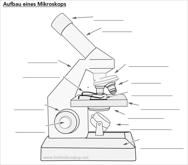 Mikroskop Arbeitsblatt ohne Beschriftung