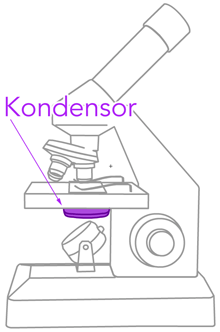 Kondensor am Mikroskop