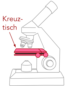 Objekttisch am Mikroskop