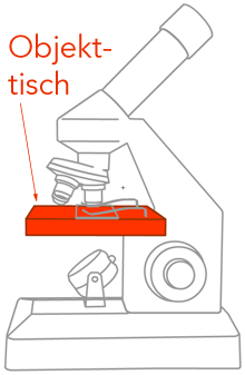 Objekttisch am Mikroskop