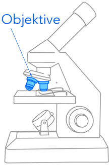 Okular am Mikroskop