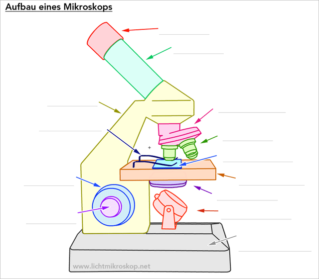 Aufbau Mikroskop Arbeitsblatt