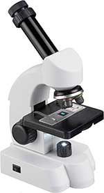 Bresser Junior Mikroskop 40x