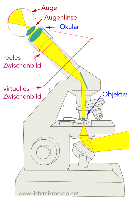 tritium