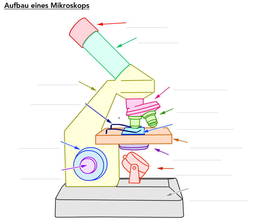 Aufbau eines Mikroskops