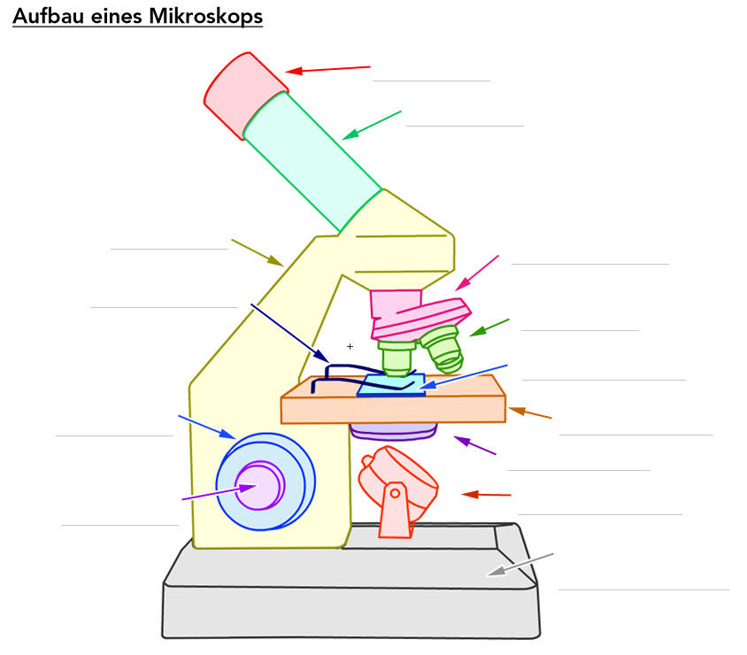 materials science and engineering of