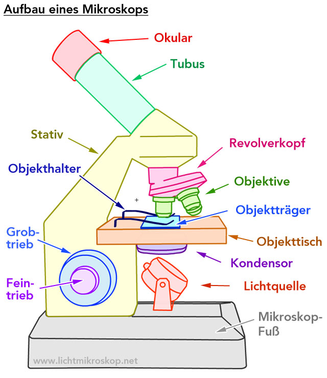 Mikroskop Aufbau, Bestandteile