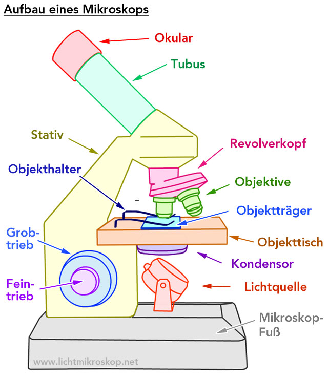 Aufbau eines Mikroskops