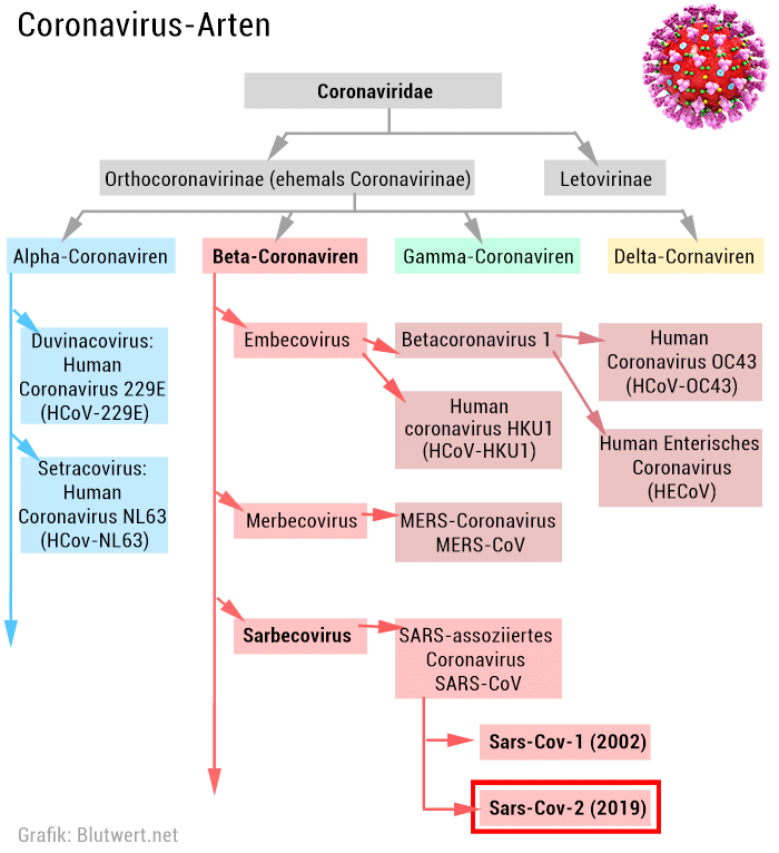 Coronavirus Arten