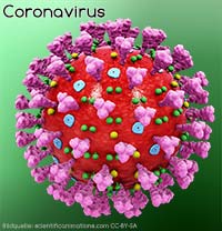 Coronavirus Sars-CoV-2