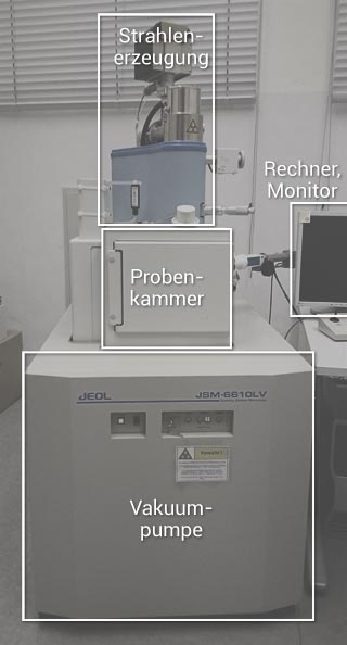 Funktionsweise eines Rasterelektronenmikroskops