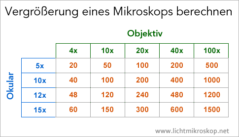 Vergrößerung eines Mikroskops (Tabelle)