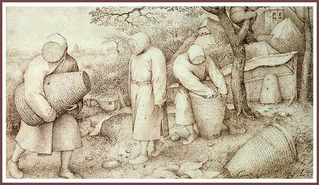 Bienenzüchter - Kupferstich von Pieter Bruegel