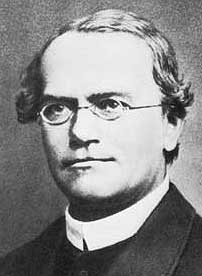Gregor Mendel
