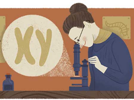 Nettie Stevens Google Doodle