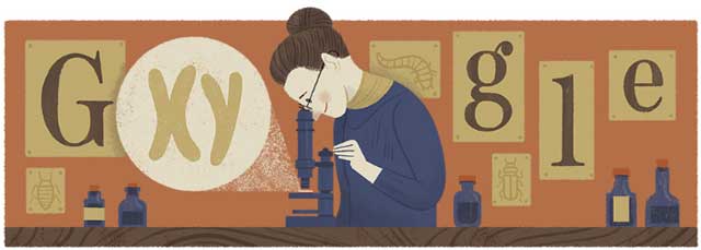 Nettie Stevens Google Doodle