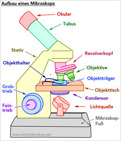 Mikroskop Bestandteile