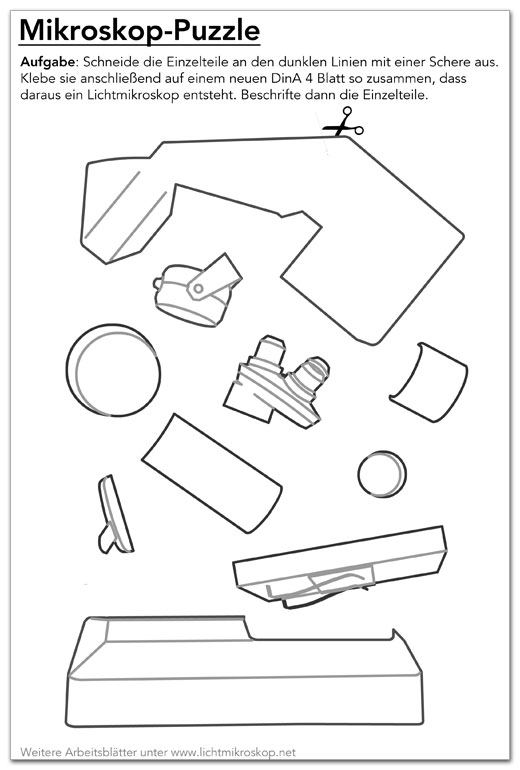 Mikroskop Arbeitsblatt ohne Beschriftung