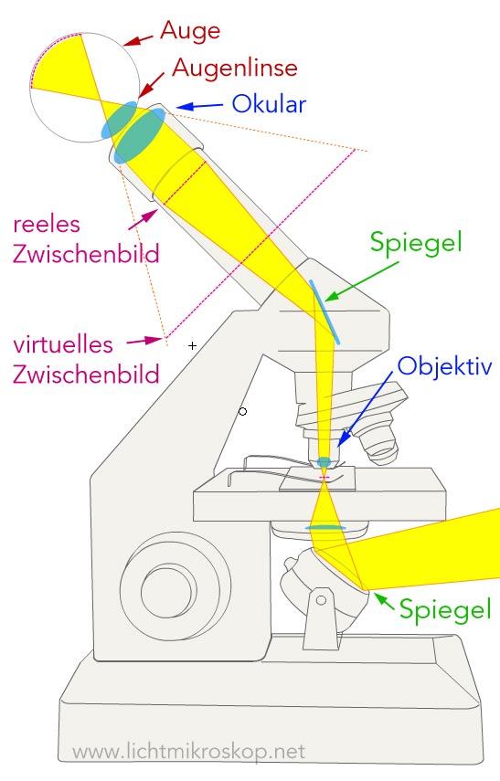 Spiegelmikroskop (Licht)