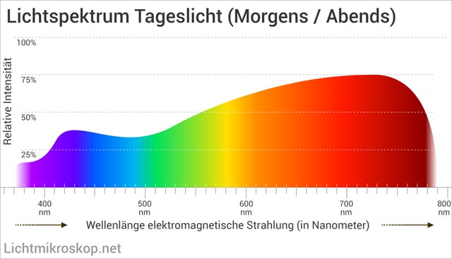 Lichtspektrum von Tageslicht am Morgen und Abend