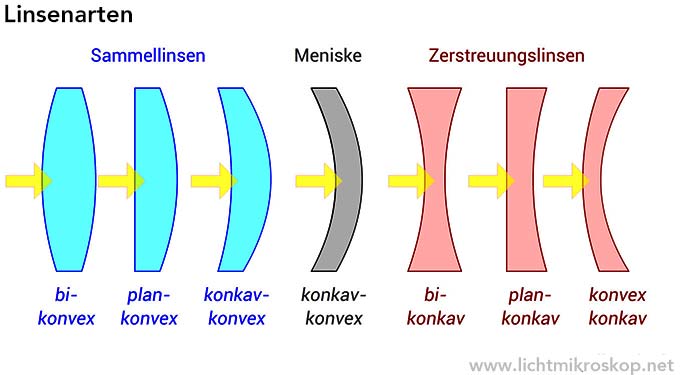 Linsenarten - rechts: Zerstreuungslinsen