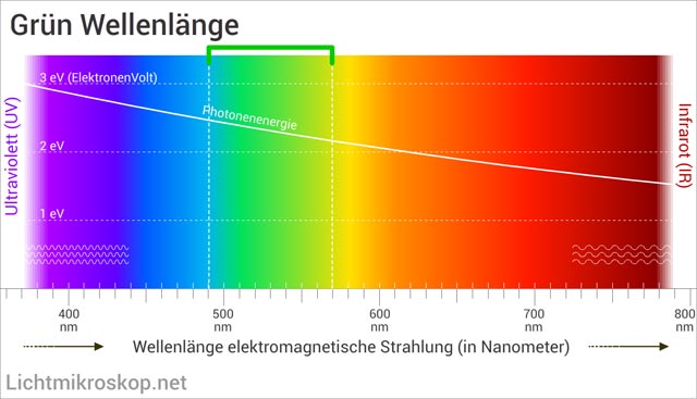 Wellenlänge von Grün im Lichtspektrum