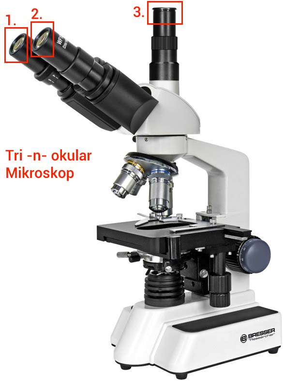 Trinokular-Mikroskop Okulare