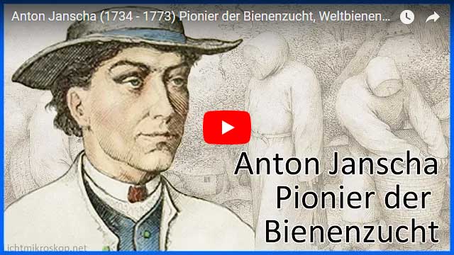 Anton Janscha, Weltbienentag