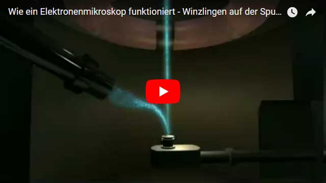 Wie ein Elektronenmikroskop funktioniert