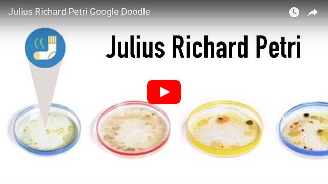 Julius Richard Petri - Erfinder der Petrischale