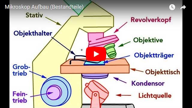 Beispiel-Mikroskop-Objektträger Zubehör für Mikroskope gleiten Objektträger  und